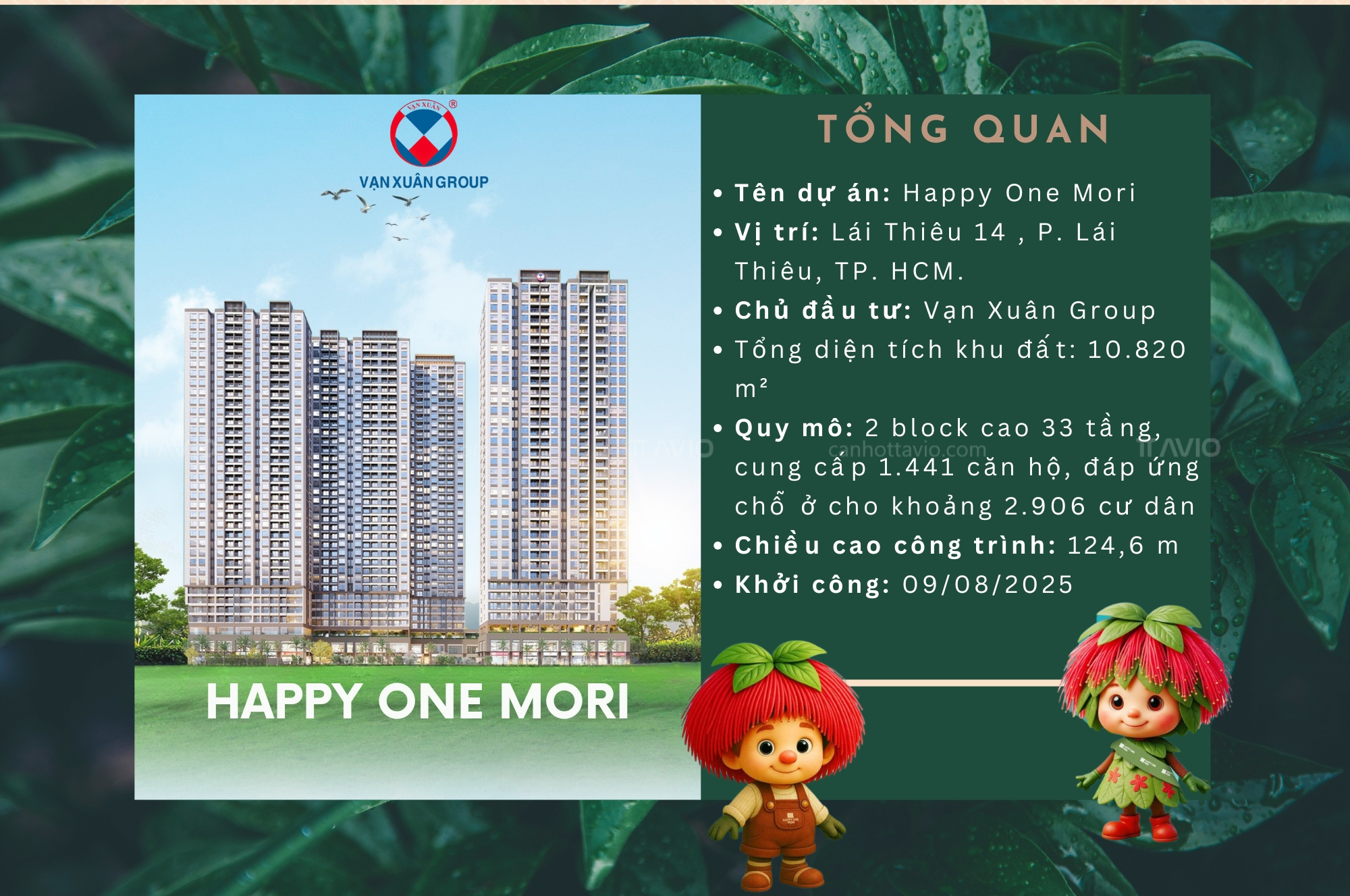 Tong-quan-happy-one-mori