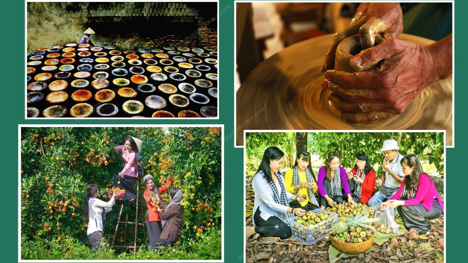 Cảm Hứng Thiết Kế The Emerald Garden View